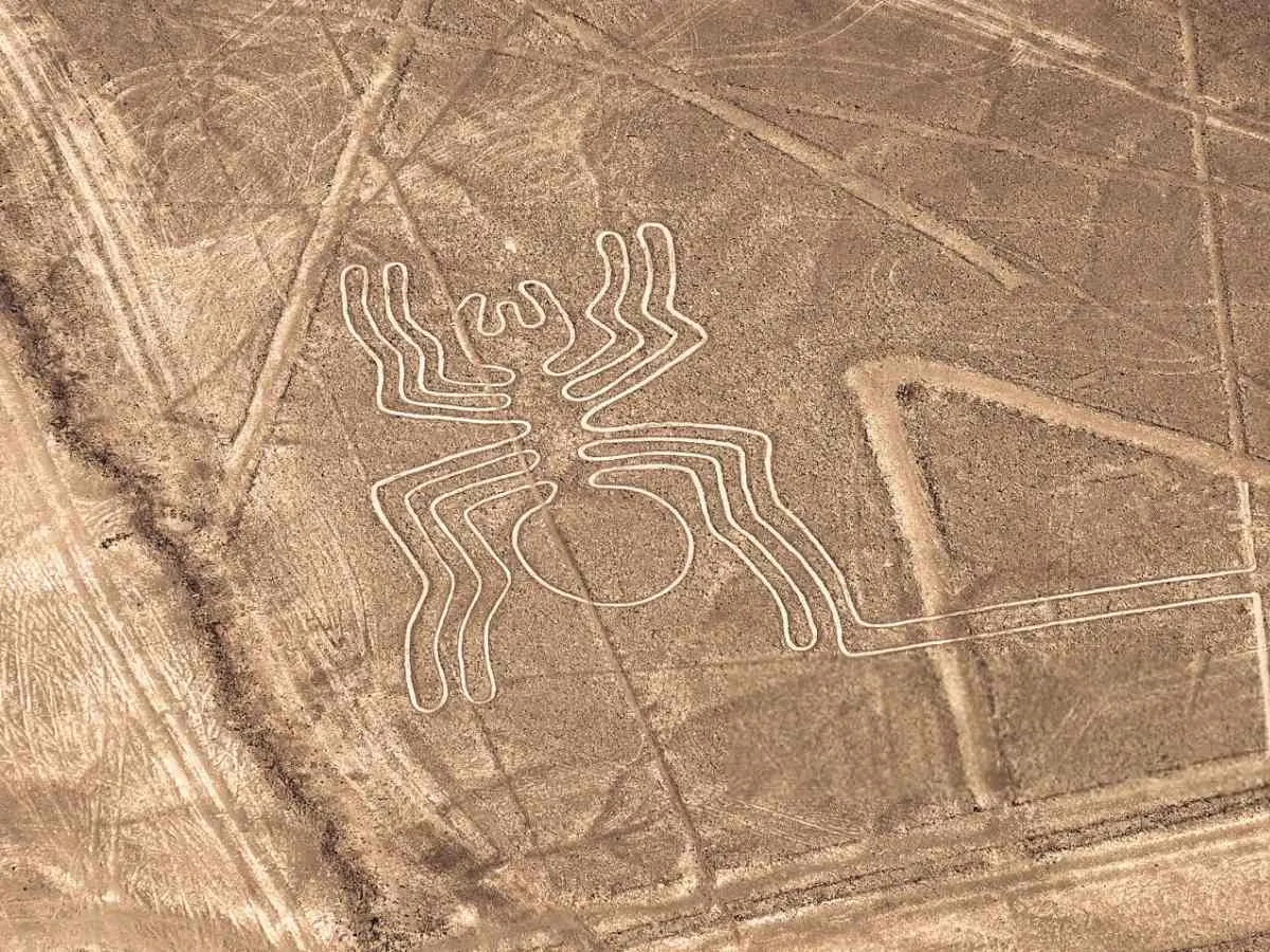 Líneas de Nasca — Full Day