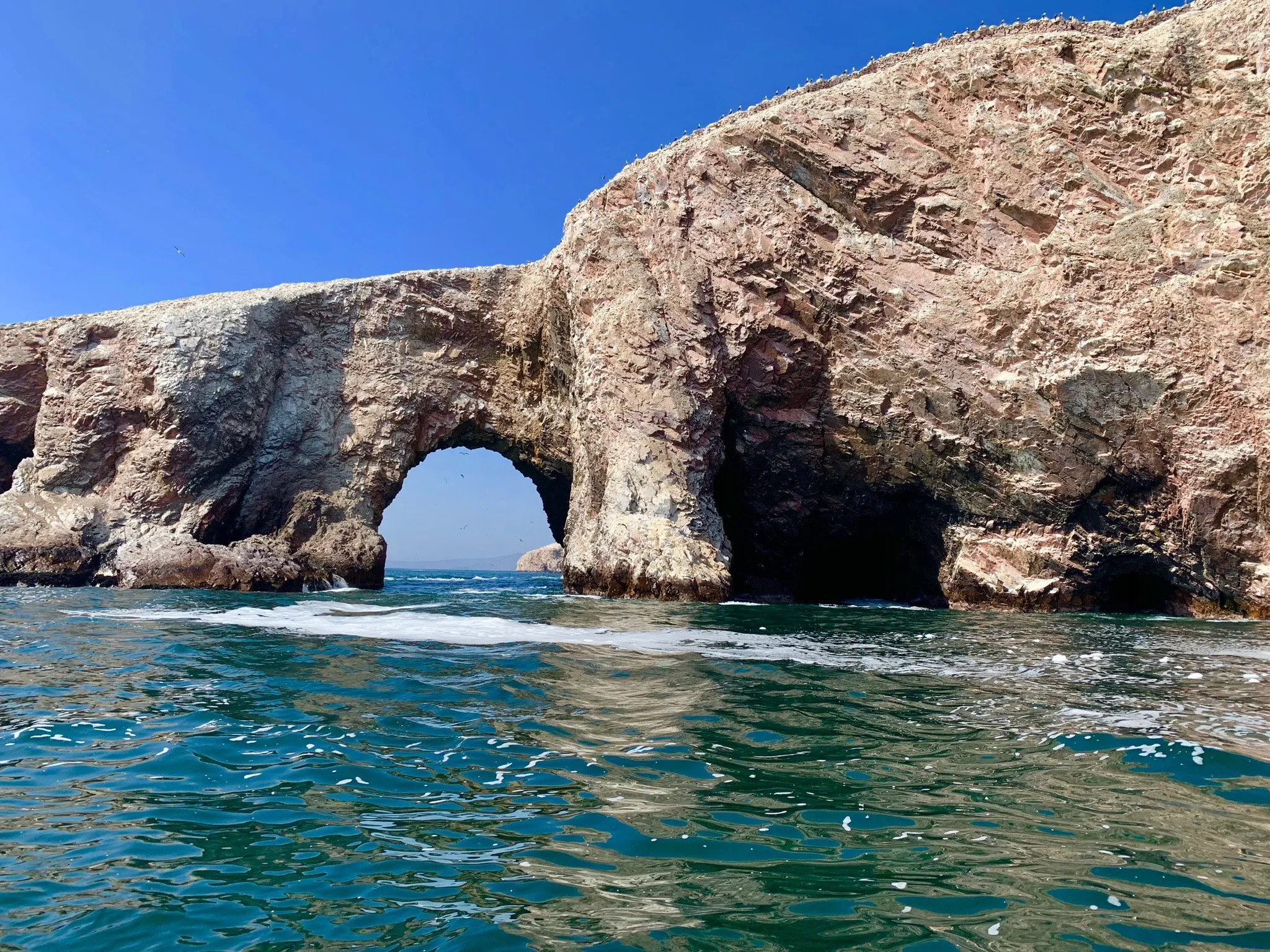 Islas Ballestas + Viñedos + Huacachina