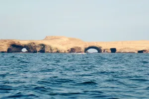 バジェスタス島＆ワカチナ砂漠 日帰りツアー